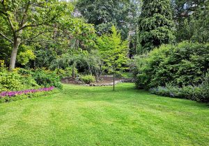 Optimiser l'expérience du jardin à Prendeignes